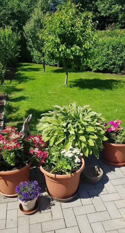 Ferienresidenz Naturoase 크라코프암지 외부 사진